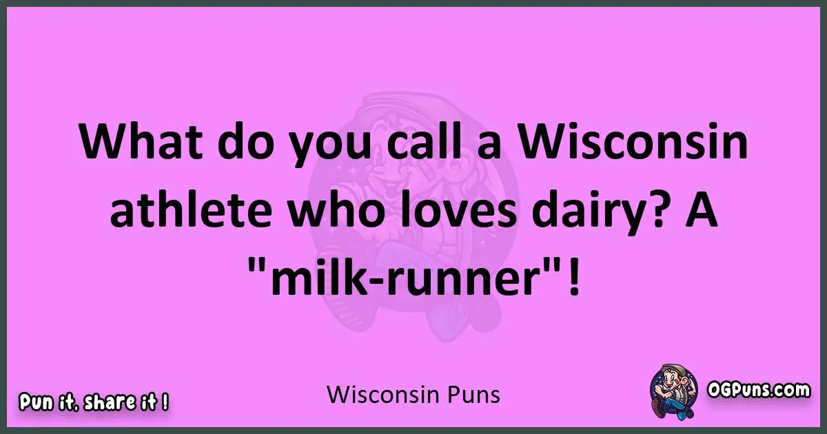 Wisconsin puns nice pun