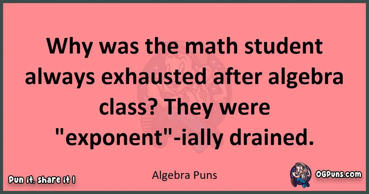 Algebra puns funny pun