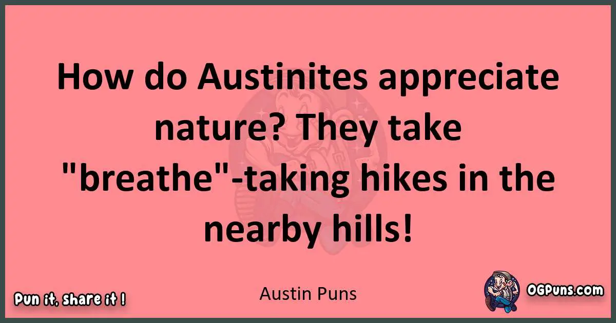 Austin puns funny pun