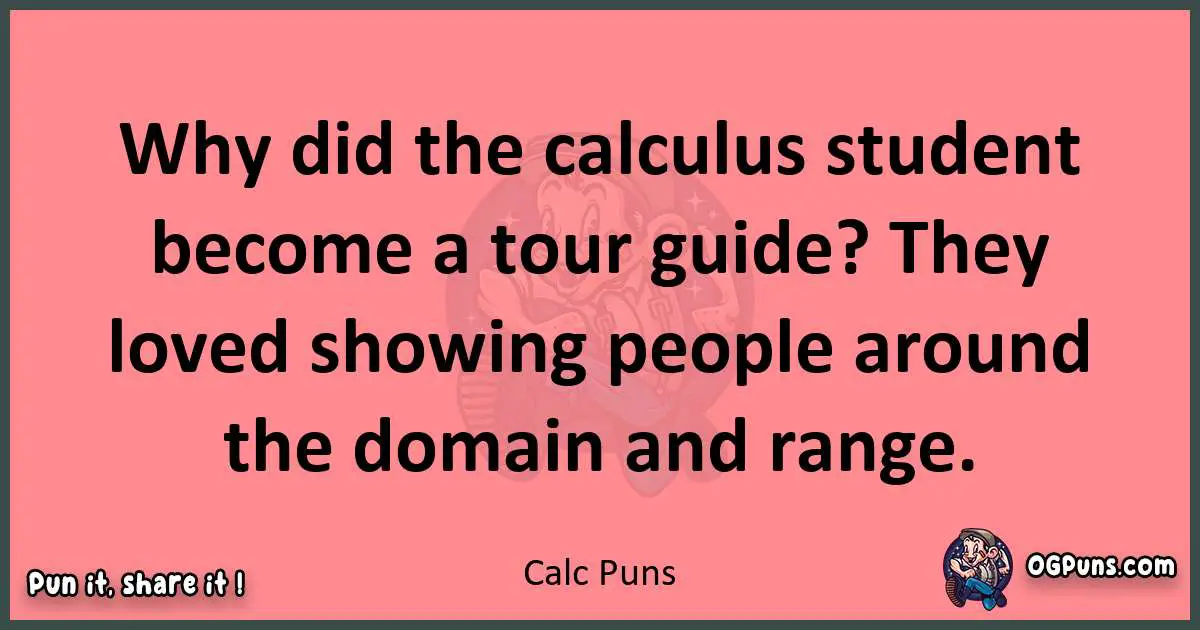 Calc puns funny pun