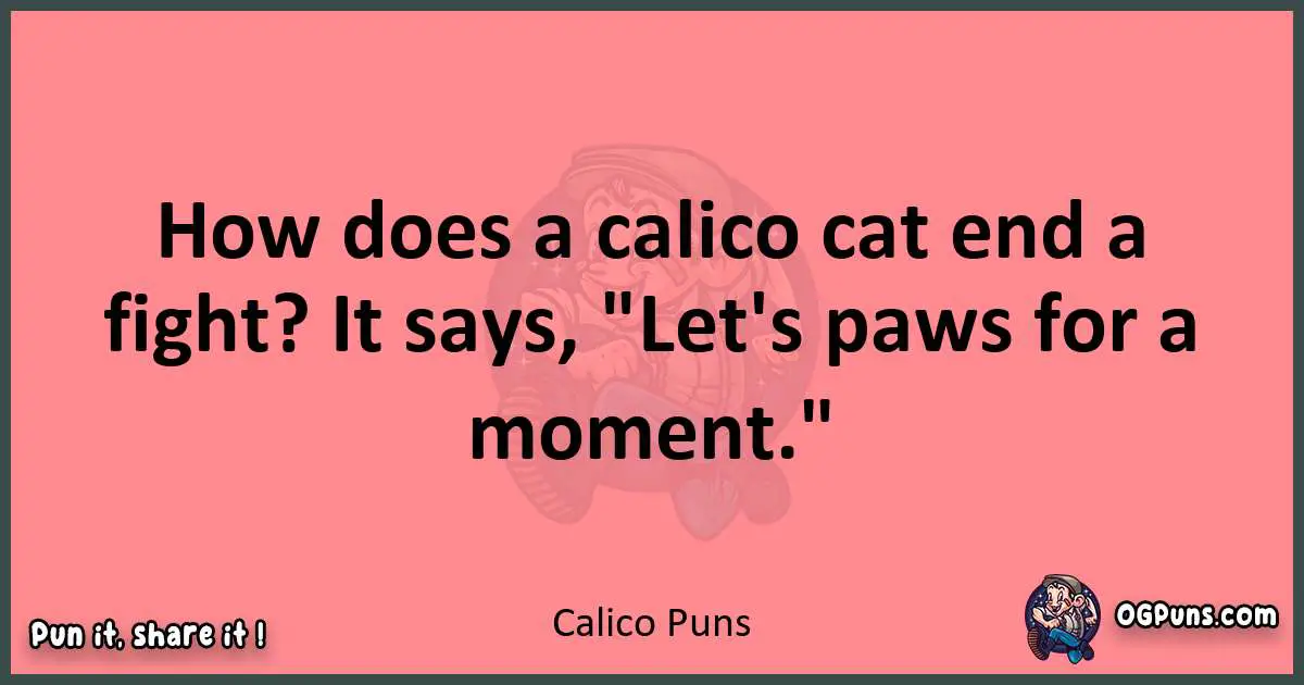 Calico puns funny pun