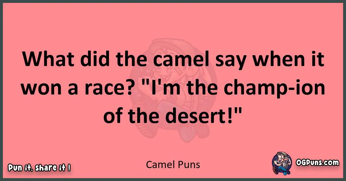 Camel puns funny pun