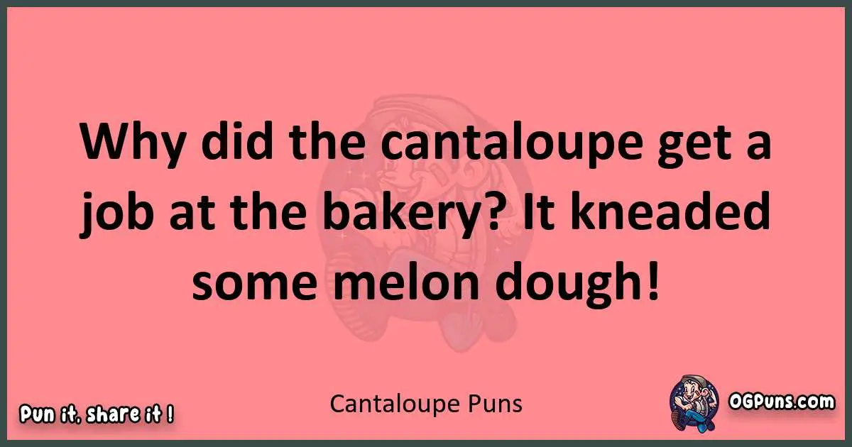 Cantaloupe puns funny pun