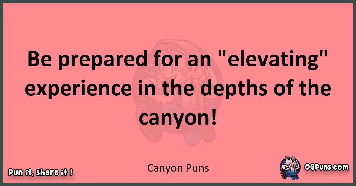 Canyon puns funny pun