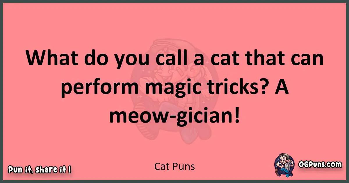 Cat puns funny pun