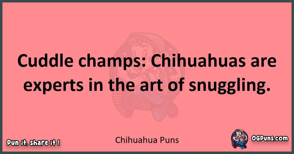 Chihuahua puns funny pun