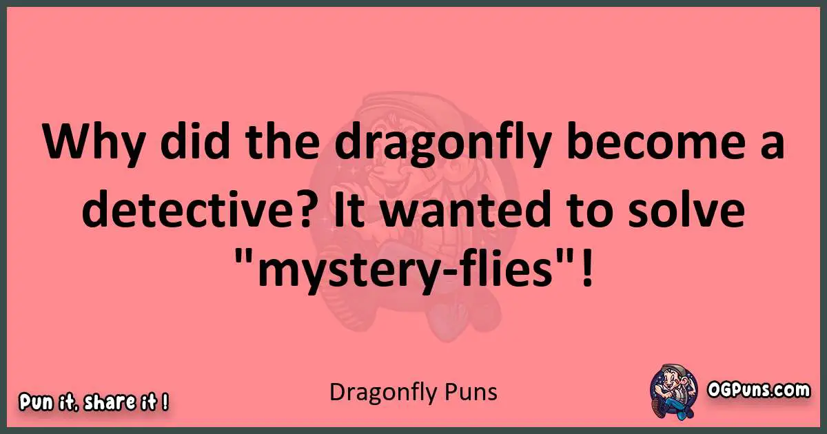 Dragonfly puns funny pun
