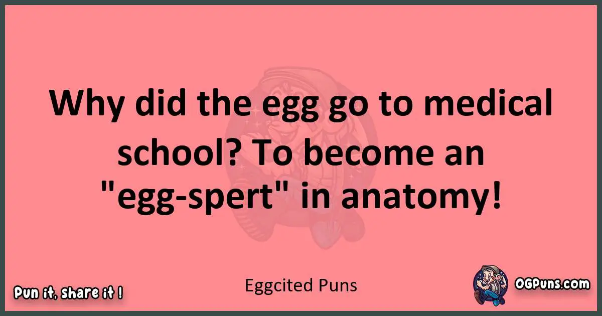 Eggcited puns funny pun