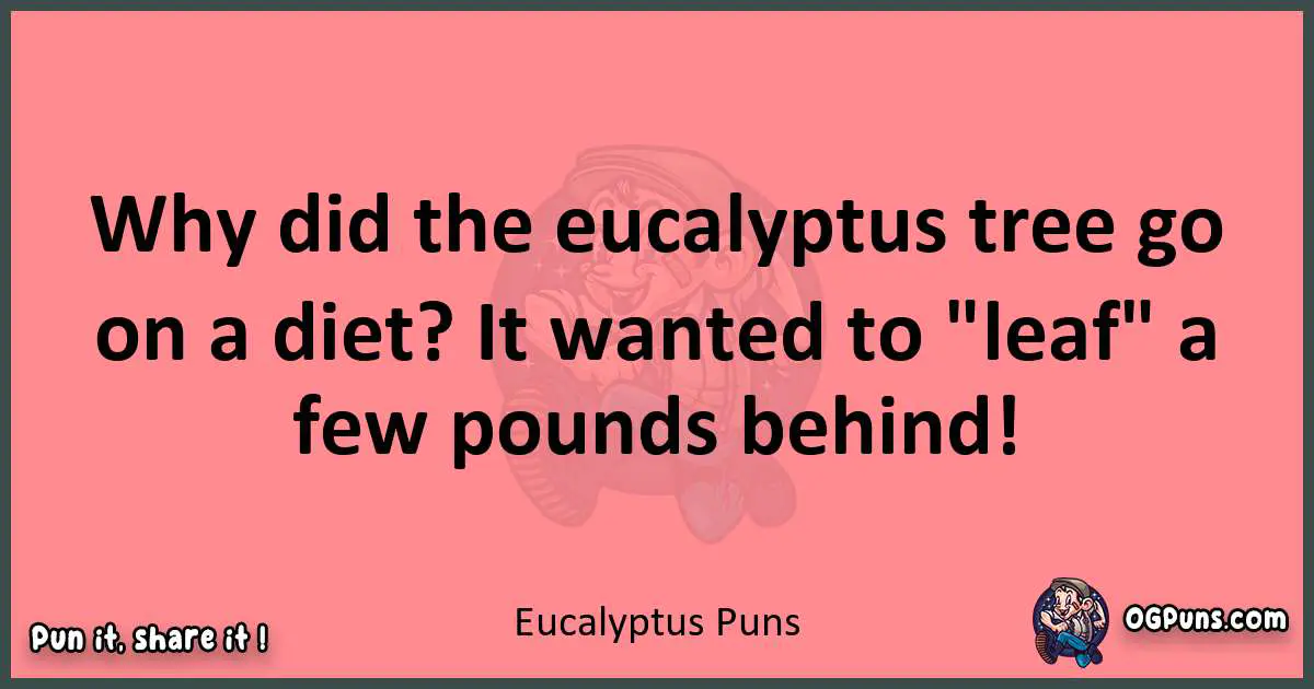 Eucalyptus puns funny pun