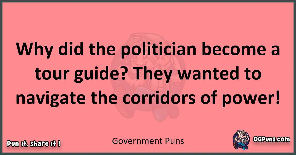 Government puns funny pun