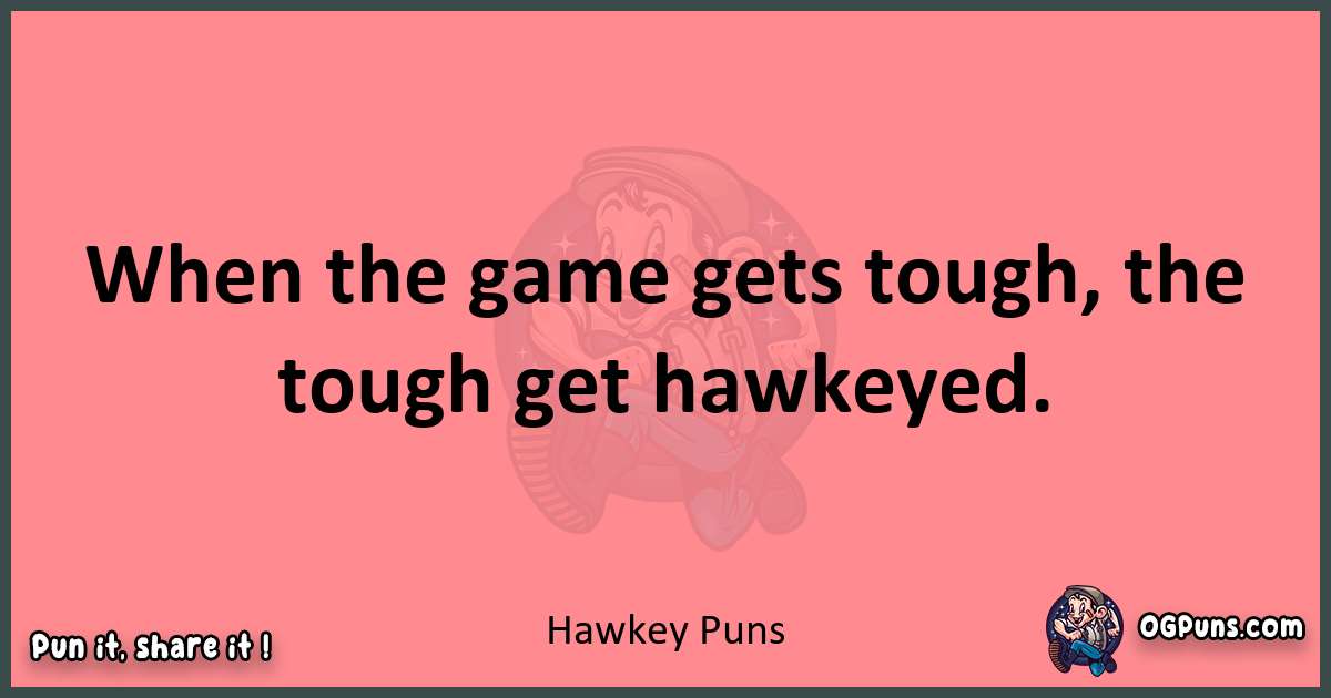 Hawkey puns funny pun