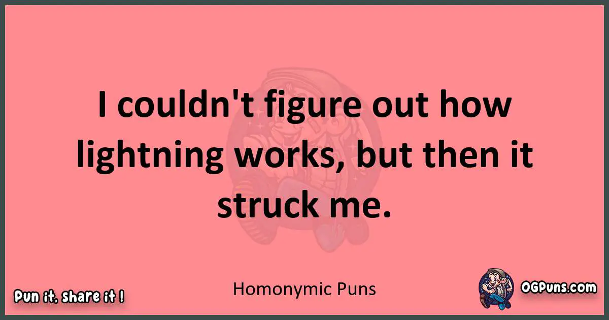 Homonymic puns funny pun