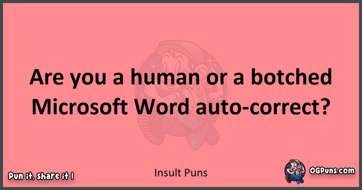 Insult puns funny pun