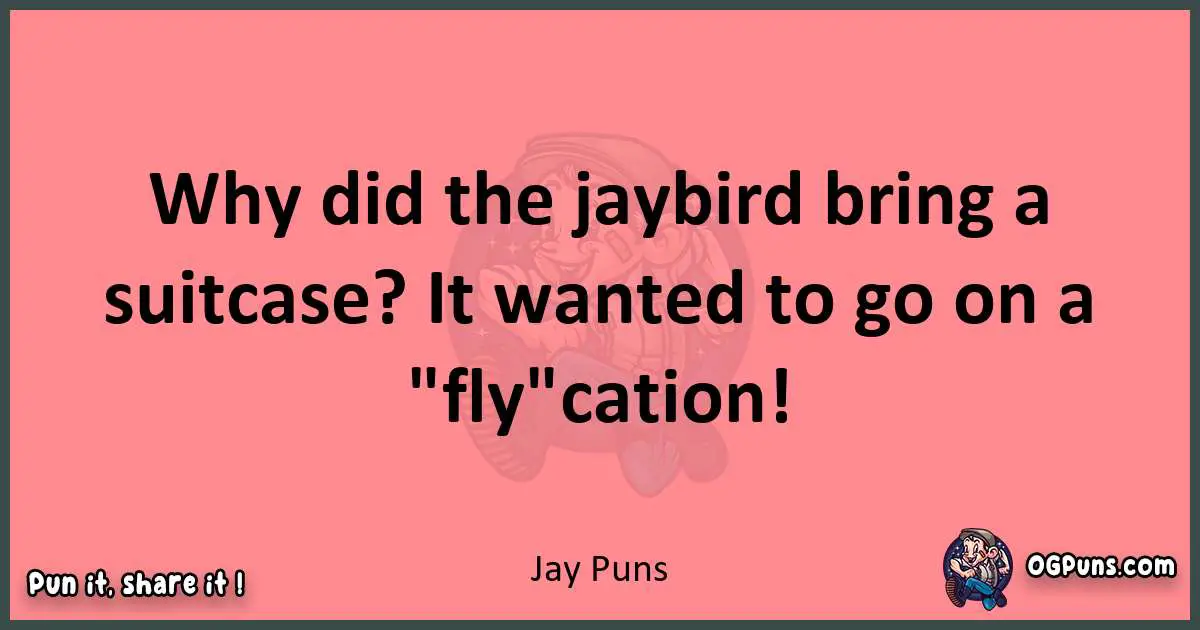 Jay puns funny pun
