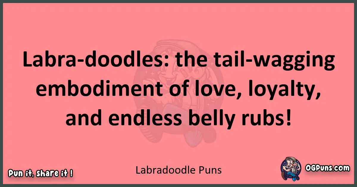 Labradoodle puns funny pun