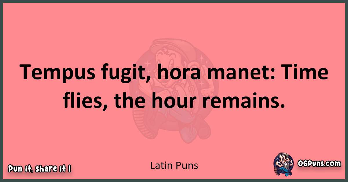 Latin puns funny pun