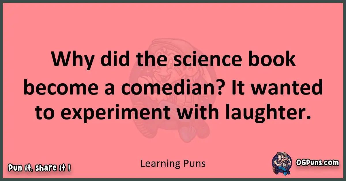 Learning puns funny pun