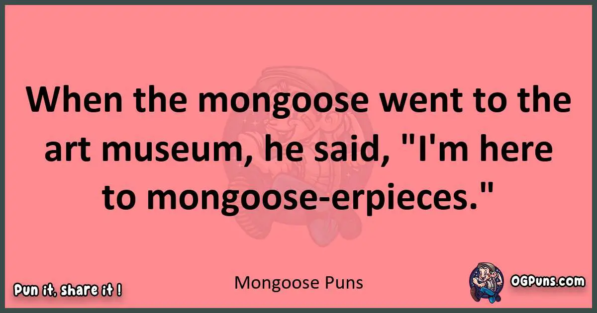 Mongoose puns funny pun