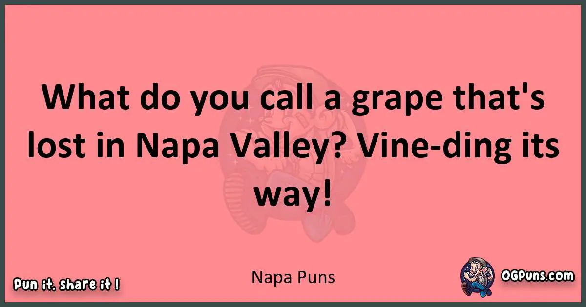 Napa puns funny pun