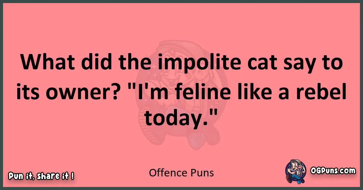 Offence puns funny pun