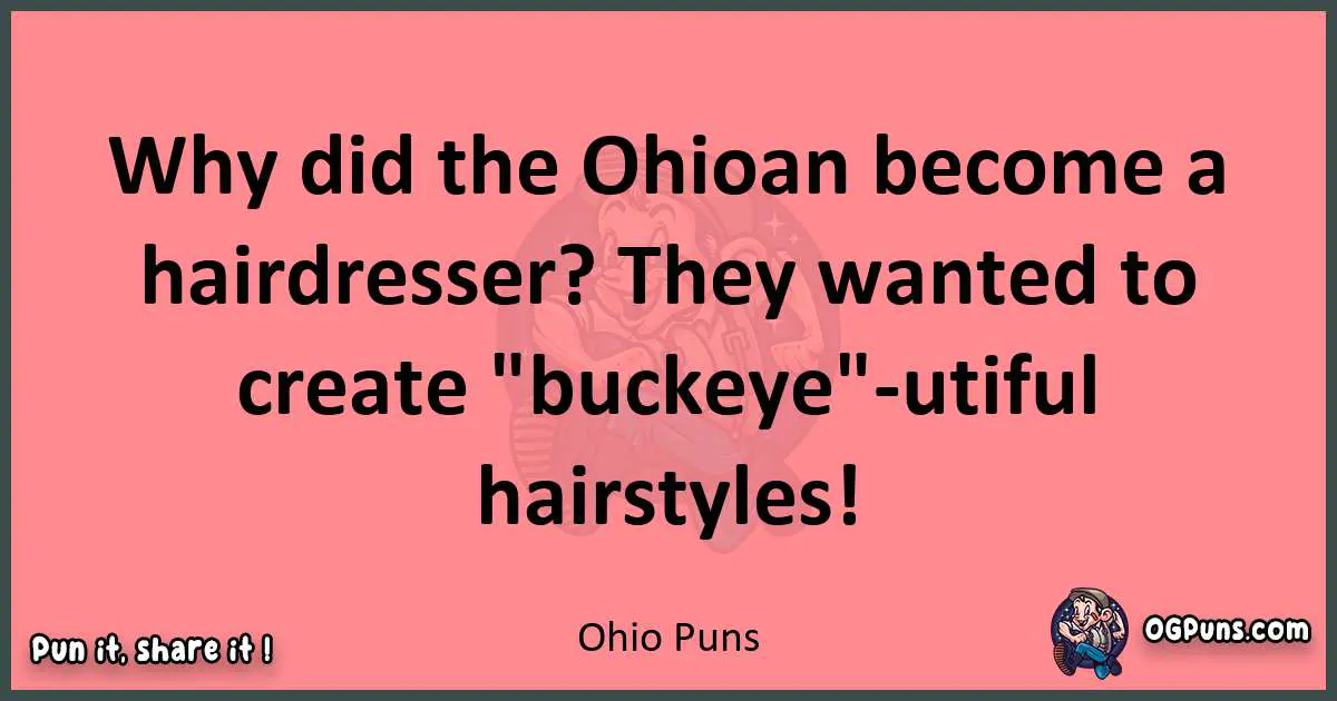 Ohio puns funny pun