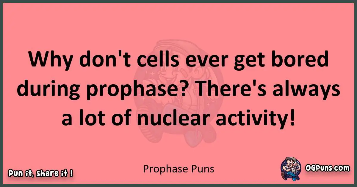 Prophase puns funny pun