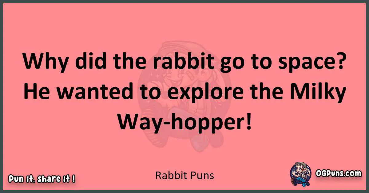 Rabbit puns funny pun