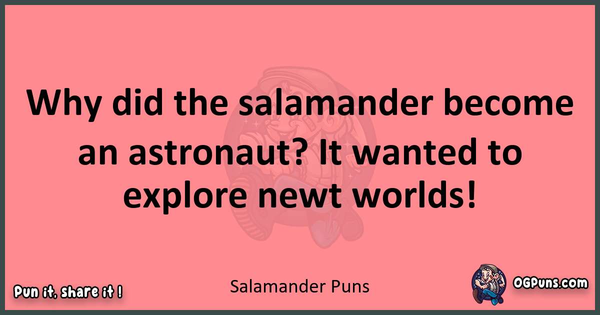 Salamander puns funny pun
