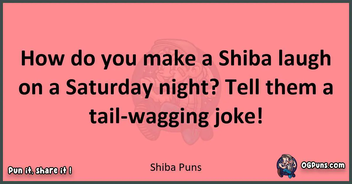 Shiba puns funny pun