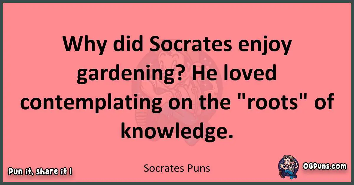 Socrates puns funny pun