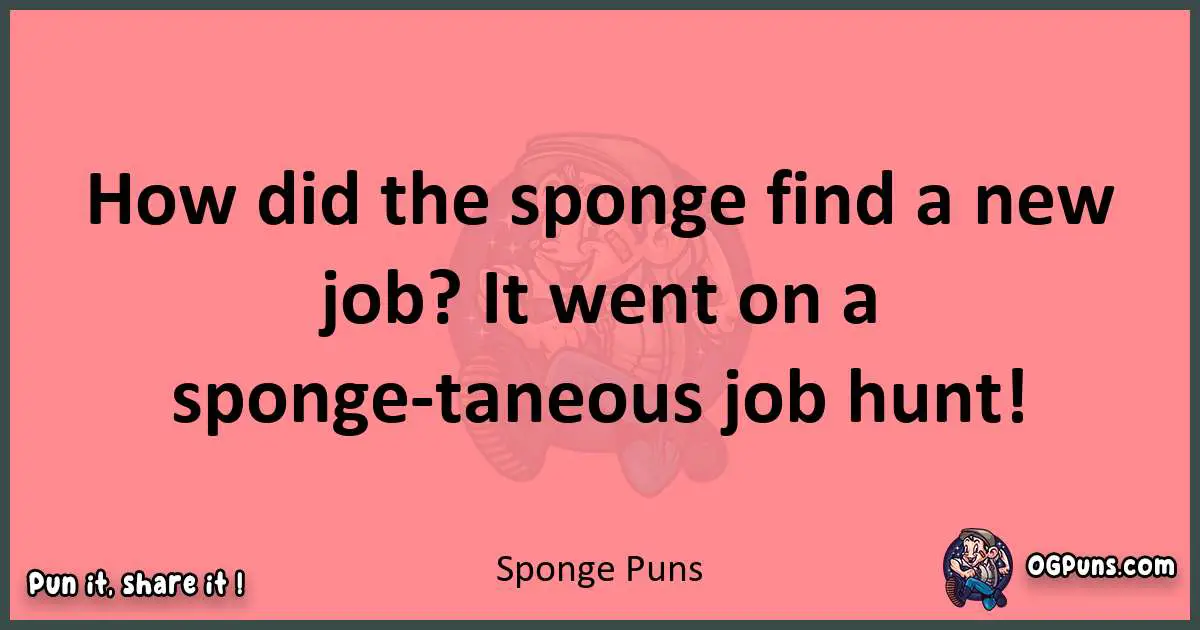 Sponge puns funny pun