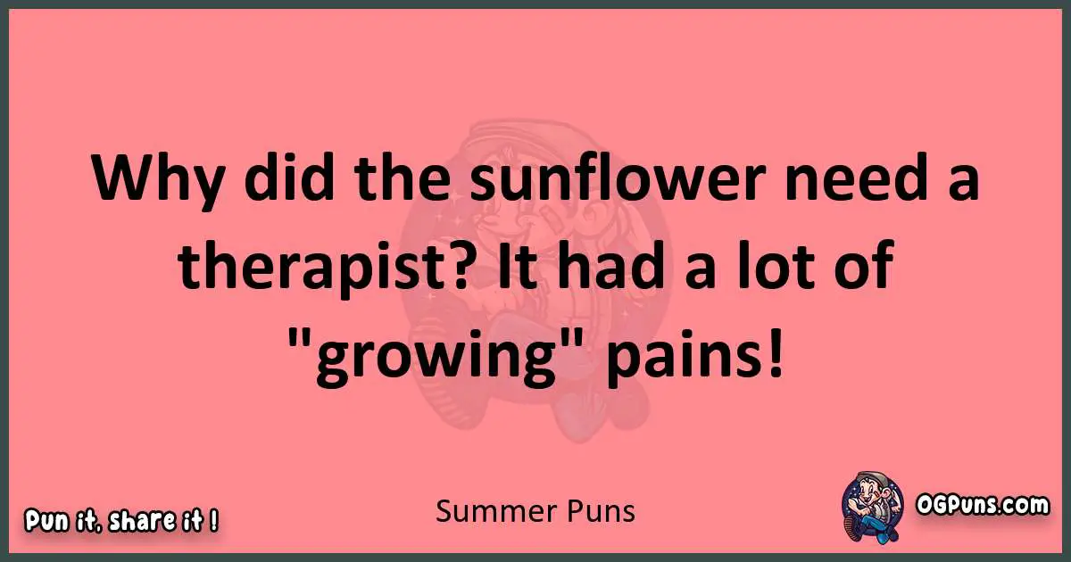 Summer puns funny pun