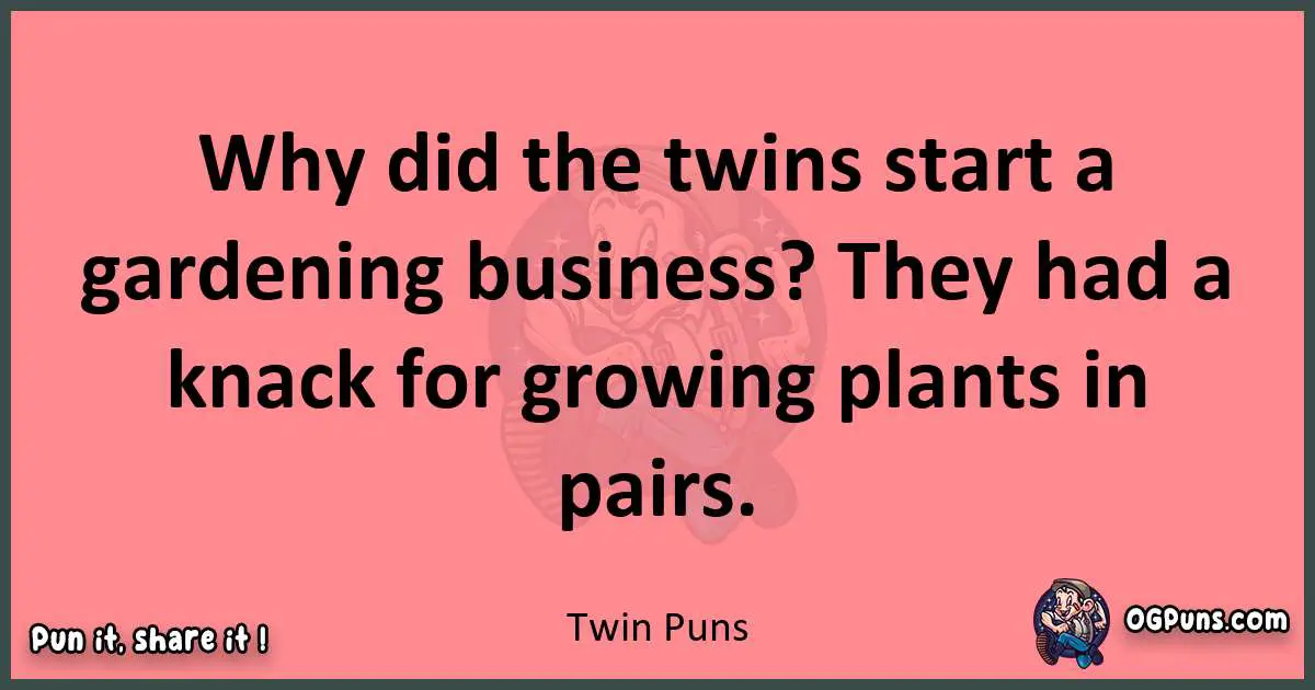 Twin puns funny pun
