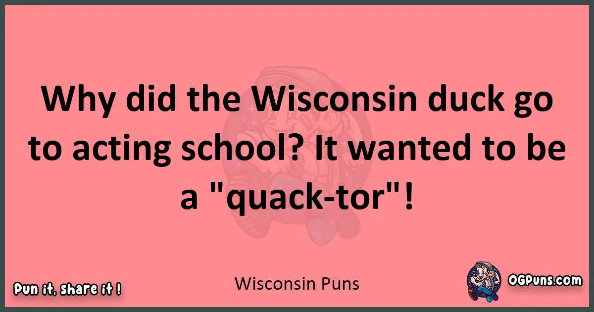 Wisconsin puns funny pun