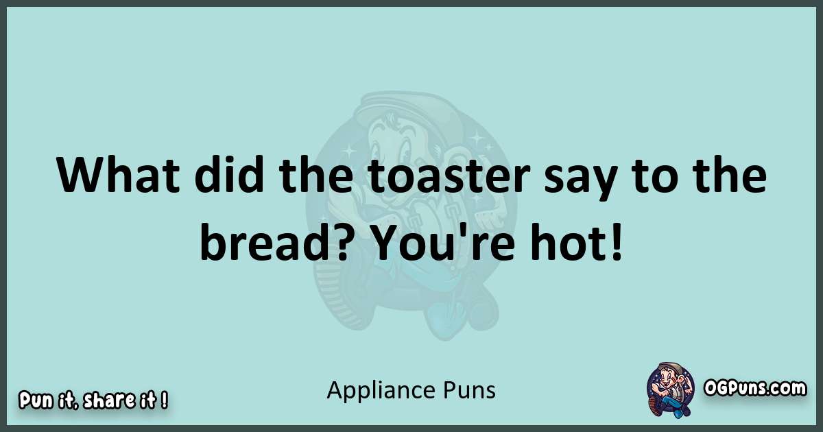 Text of a short pun with Appliance puns