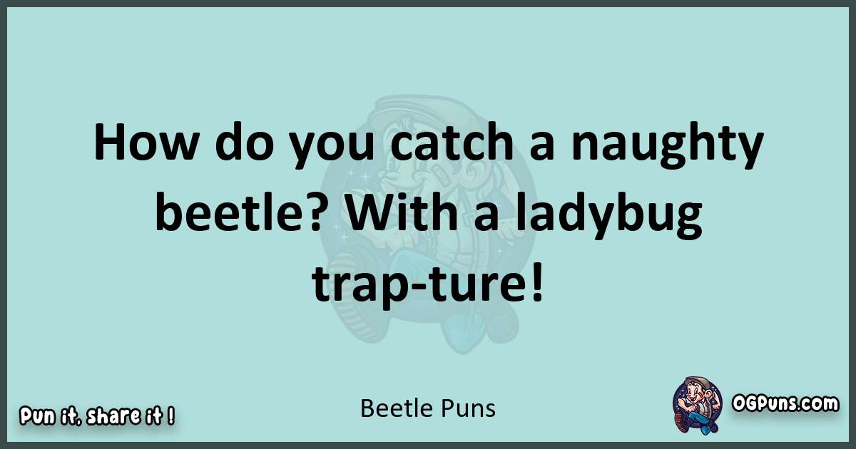 Text of a short pun with Beetle puns
