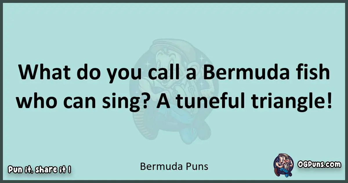 Text of a short pun with Bermuda puns