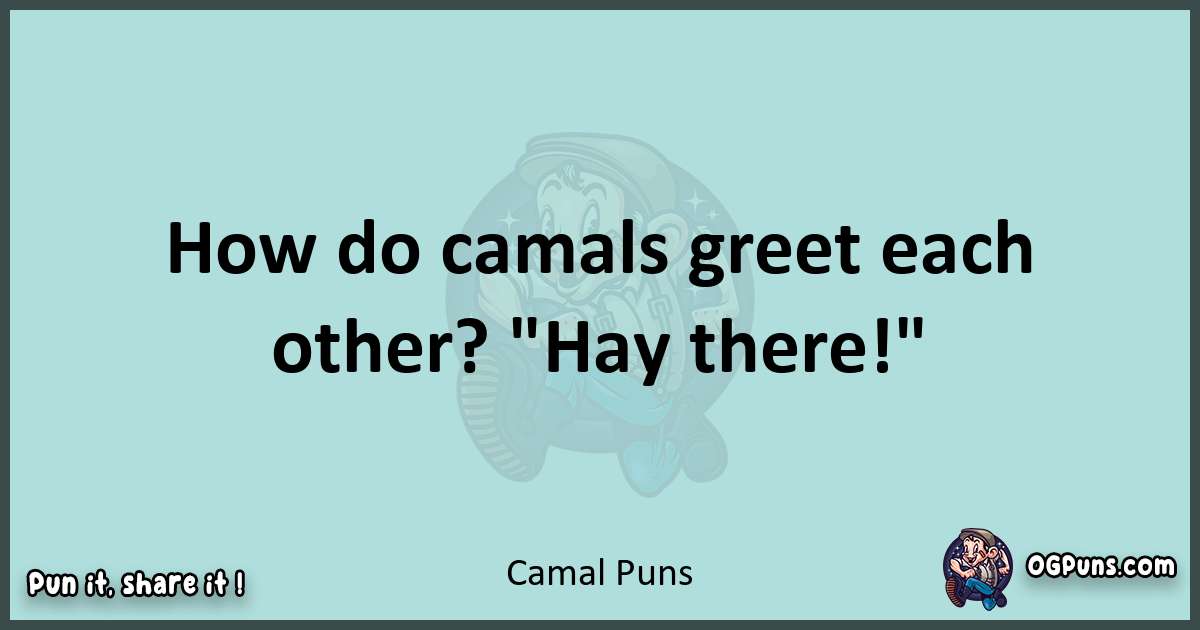 Text of a short pun with Camal puns