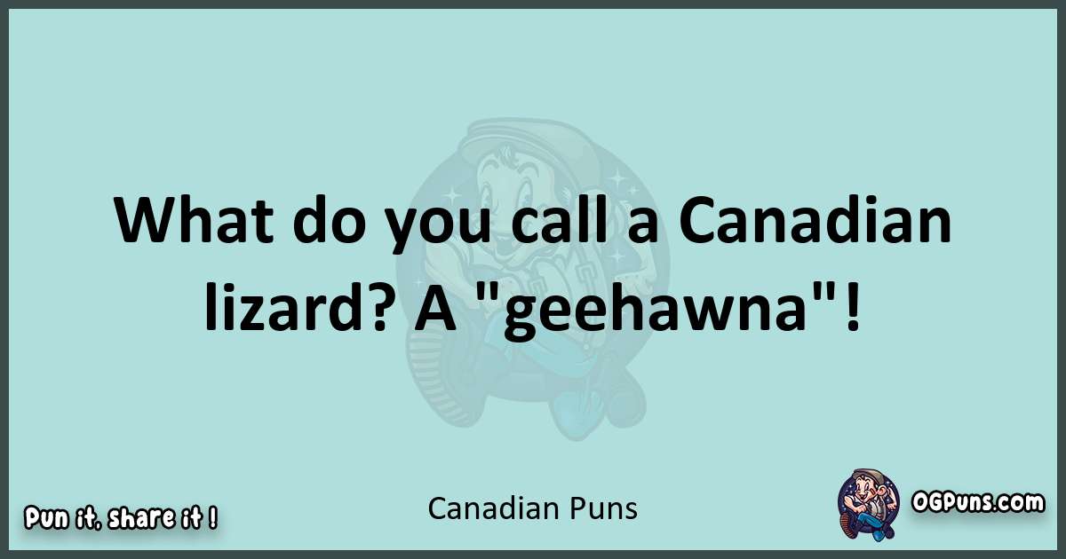 Text of a short pun with Canadian puns