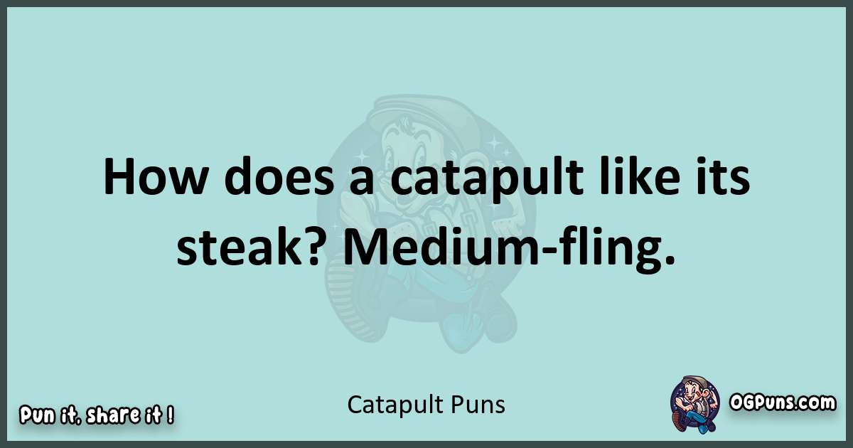 Text of a short pun with Catapult puns
