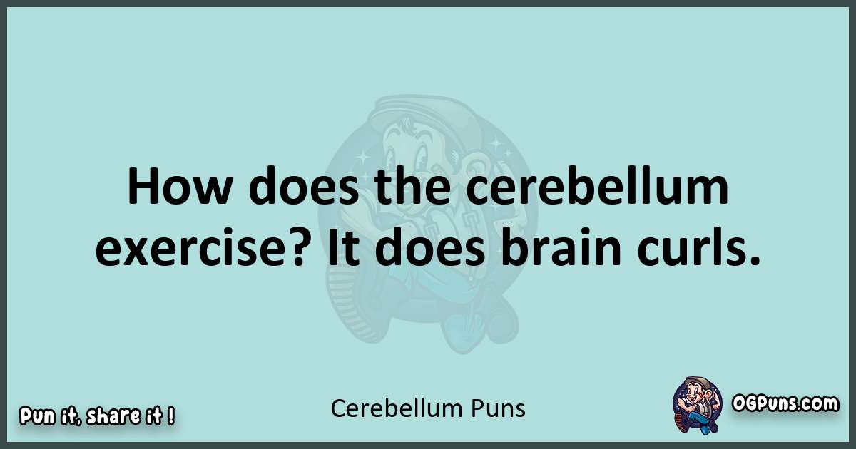 Text of a short pun with Cerebellum puns