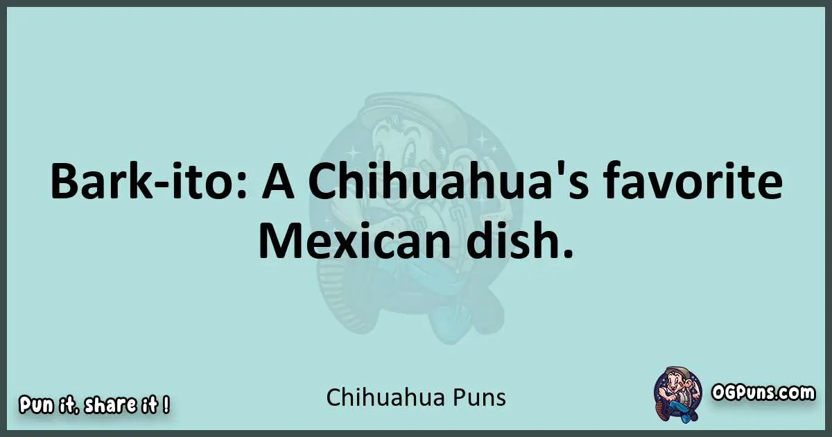 Text of a short pun with Chihuahua puns