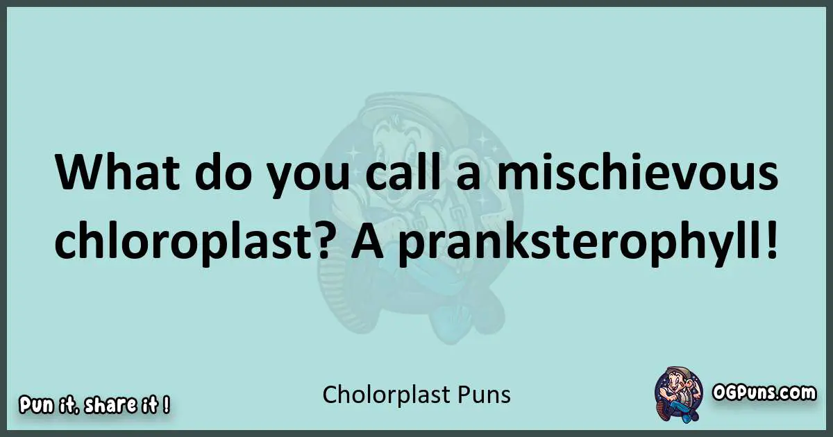 Text of a short pun with Cholorplast puns