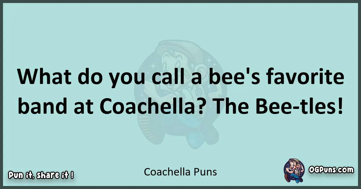 Text of a short pun with Coachella puns