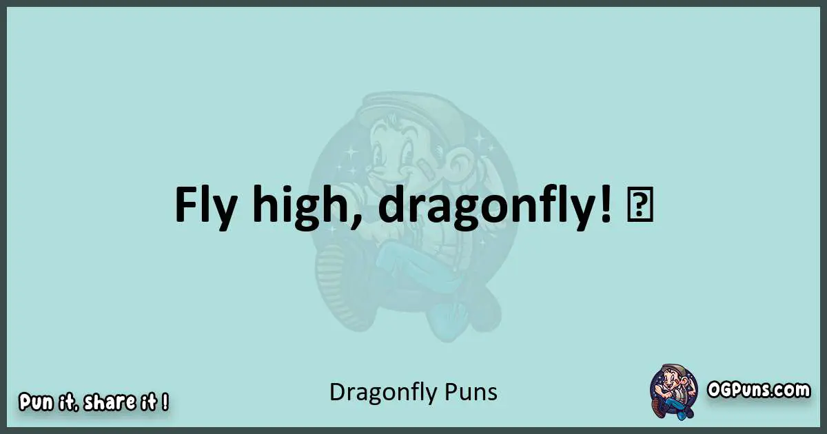 Text of a short pun with Dragonfly puns