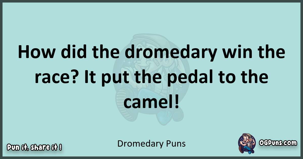 Text of a short pun with Dromedary puns