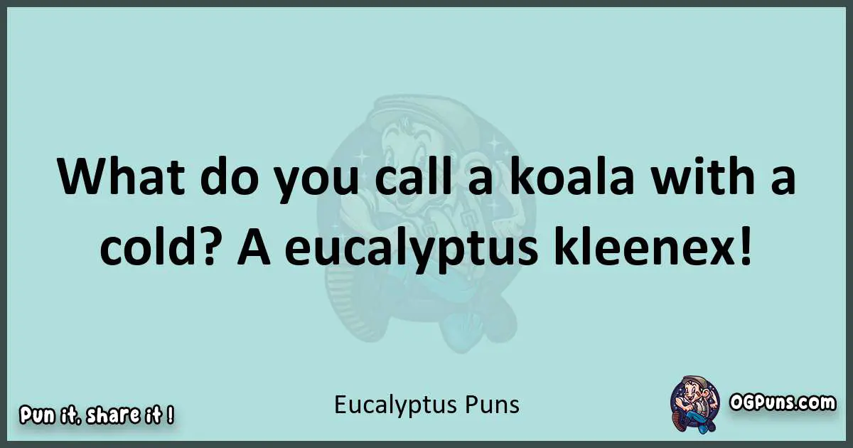 Text of a short pun with Eucalyptus puns