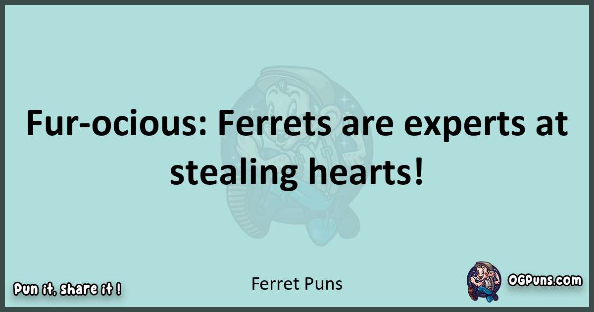 Text of a short pun with Ferret puns