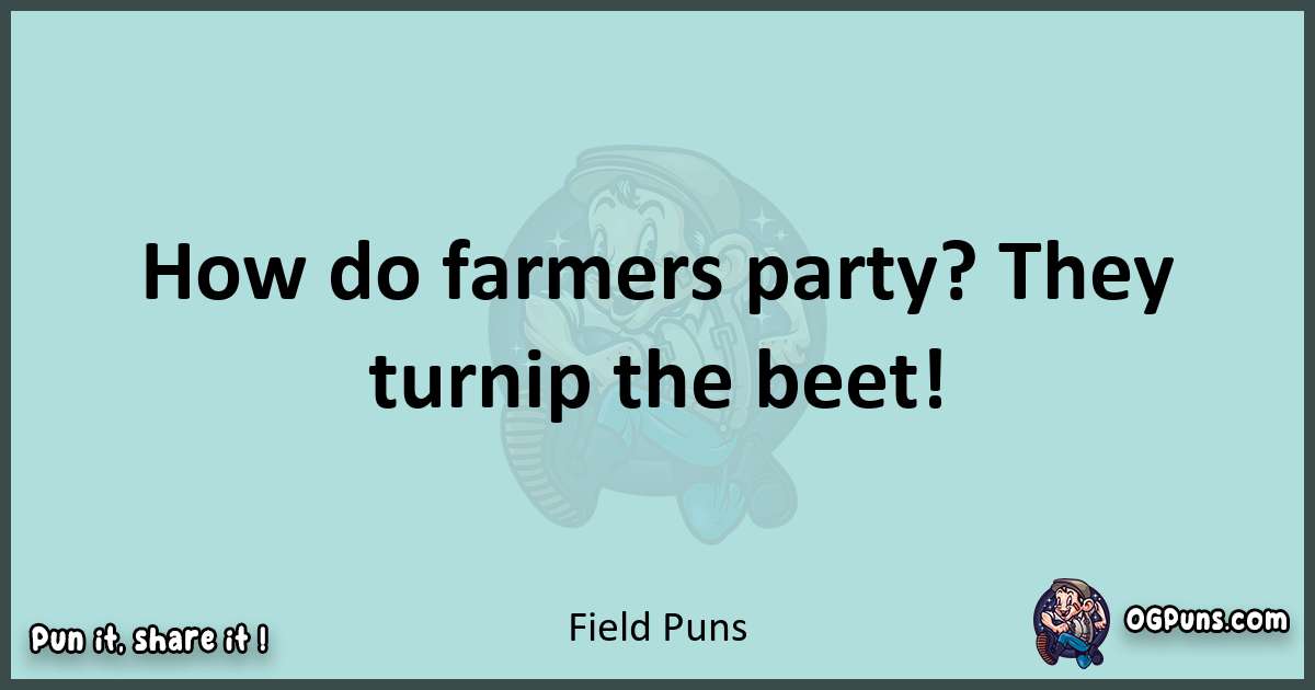 Text of a short pun with Field puns