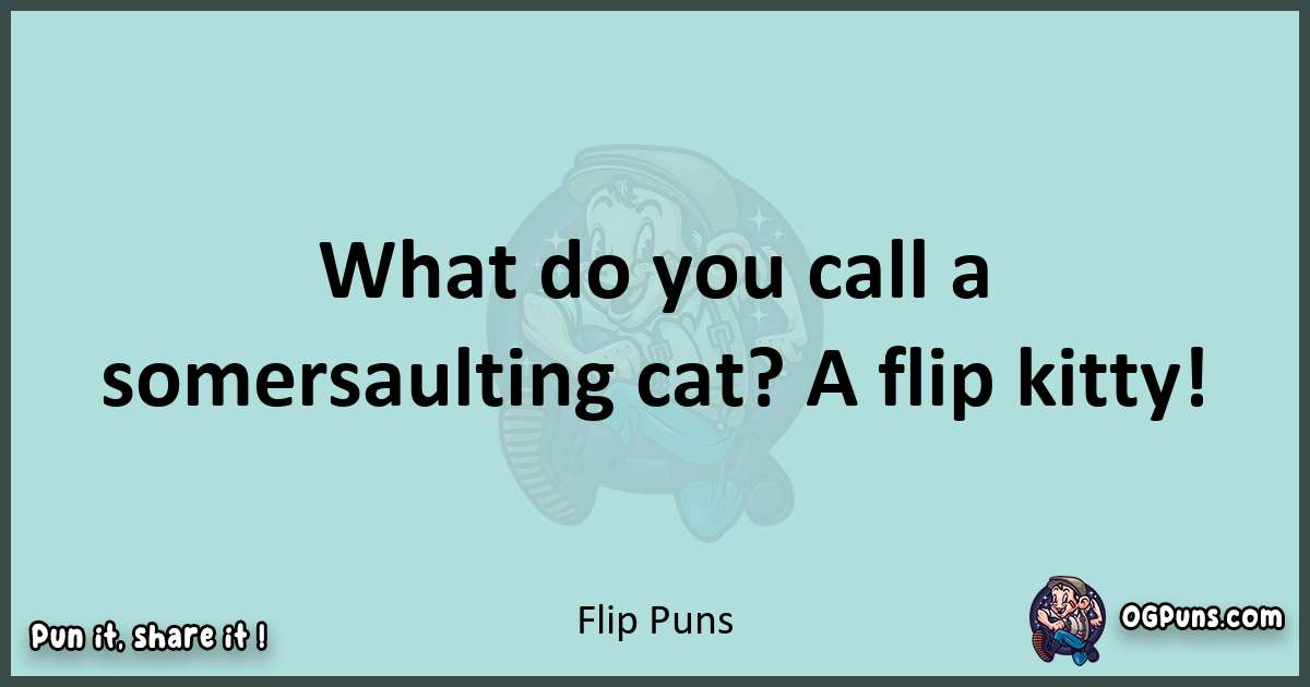 Text of a short pun with Flip puns